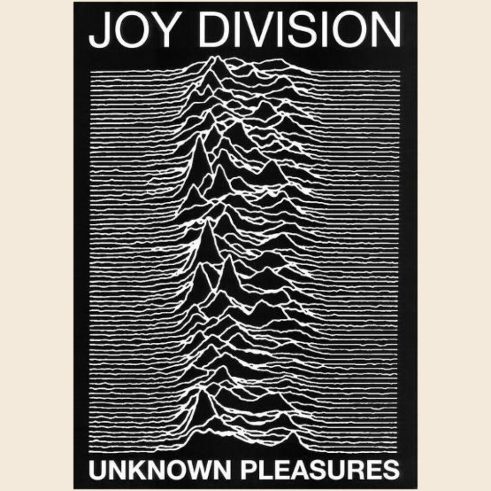 Joy Division Punk Poster Unknown Pleasures Ian Curtis Poster_ 166